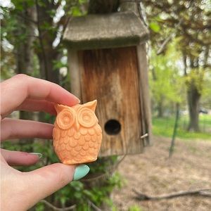 Orange Scented Owl Soap
